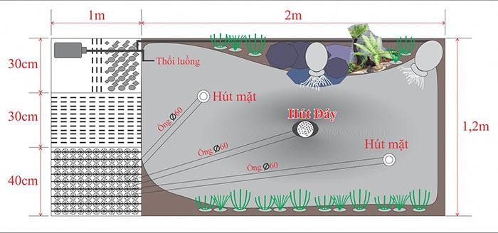 Bản vẽ 2D thiết kế hồ cá koi